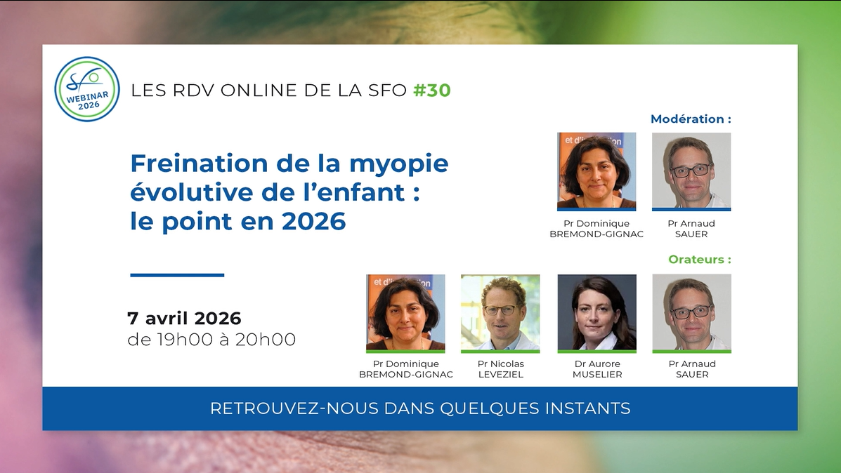 vignette_sfo_online_30