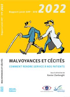 Rapport handicap visuel SFO 2023