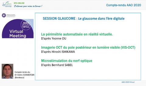 Compte-rendu du Dr Cédric SCHWEITZER