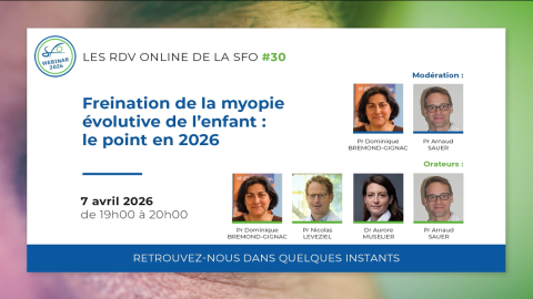 vignette_sfo_online_30